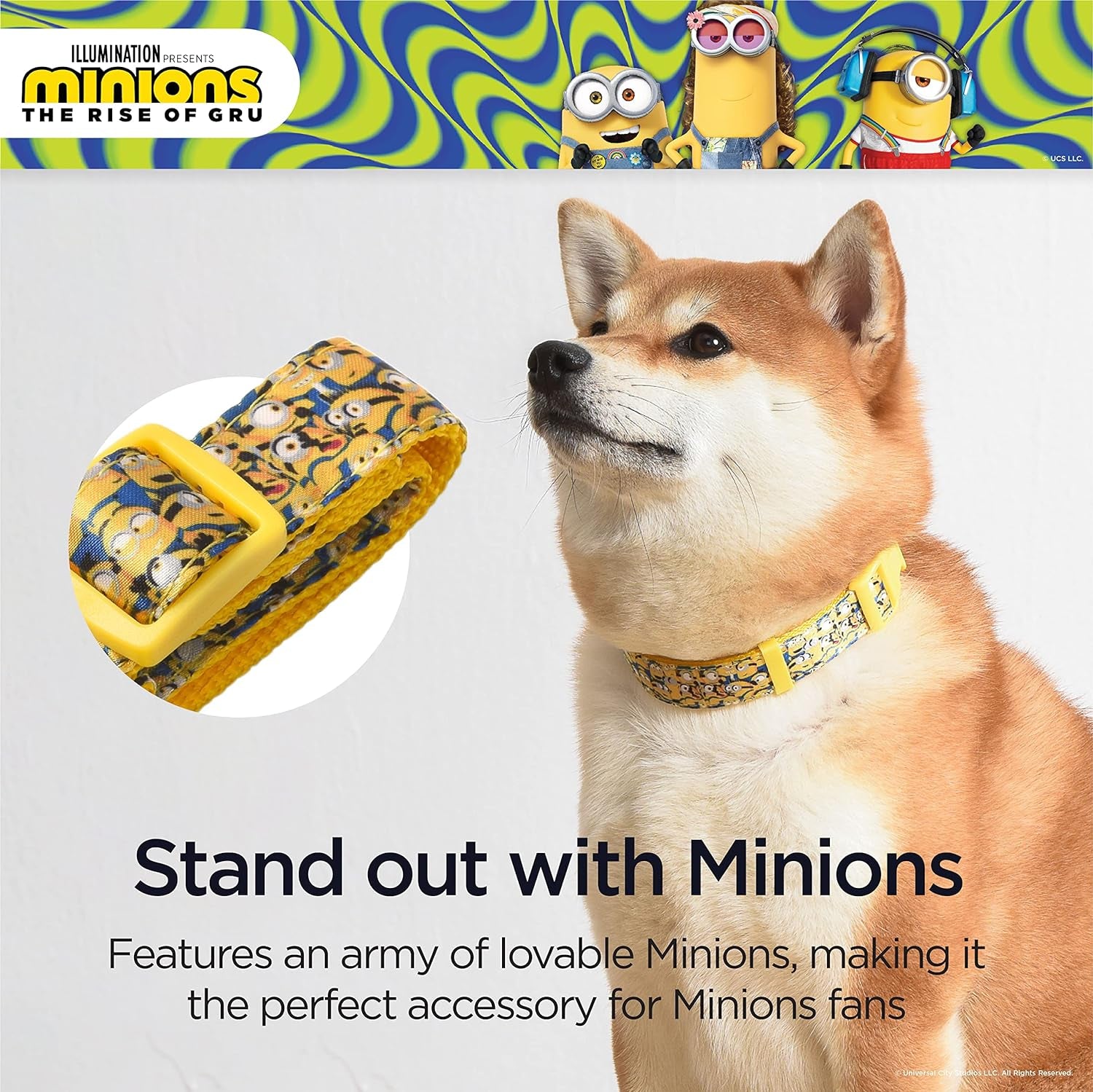 Dog Collar, Medium, Yellow, More than a Minion| Gifts for  Fans and Their Pets | Officially Licensed Pet Product from Universal Studios