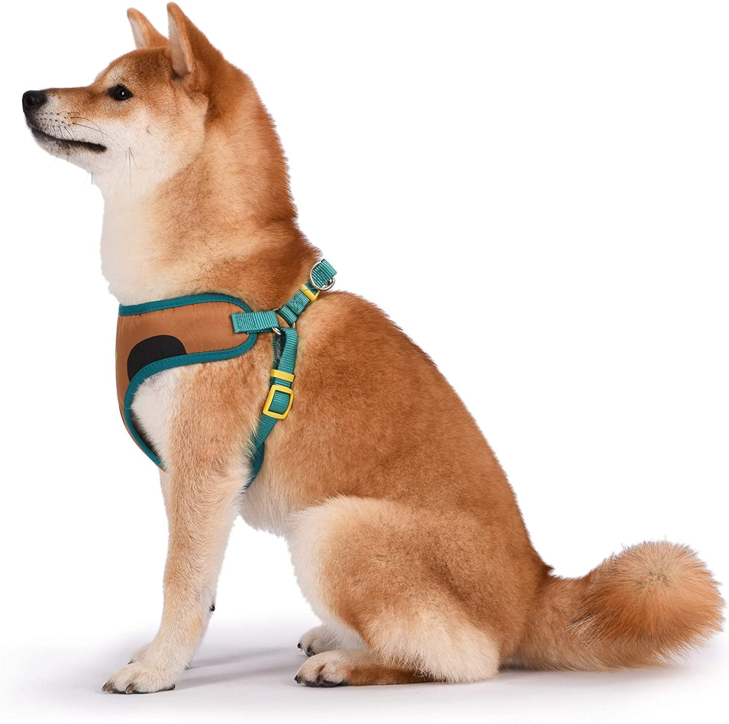 Warner Brothers Scooby-Doo Dog Harness | Soft and Comfortable Small Dog Harness | Scooby Doo Dog Harness No Pull Tan and Blue Dog Harness | Cute Dog Harnesses for Small Dogs