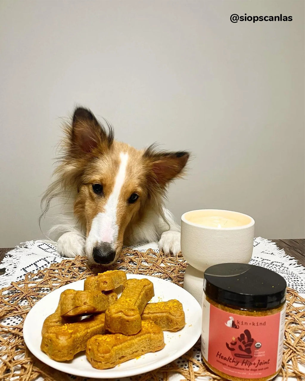 Organic Hip & Joint Supplement for Dogs & Cats - Vet Formulated with Turmeric, Black Pepper & Coconut - Natural Supplement for Dog & Cat Joint Support & Health - Made in USA