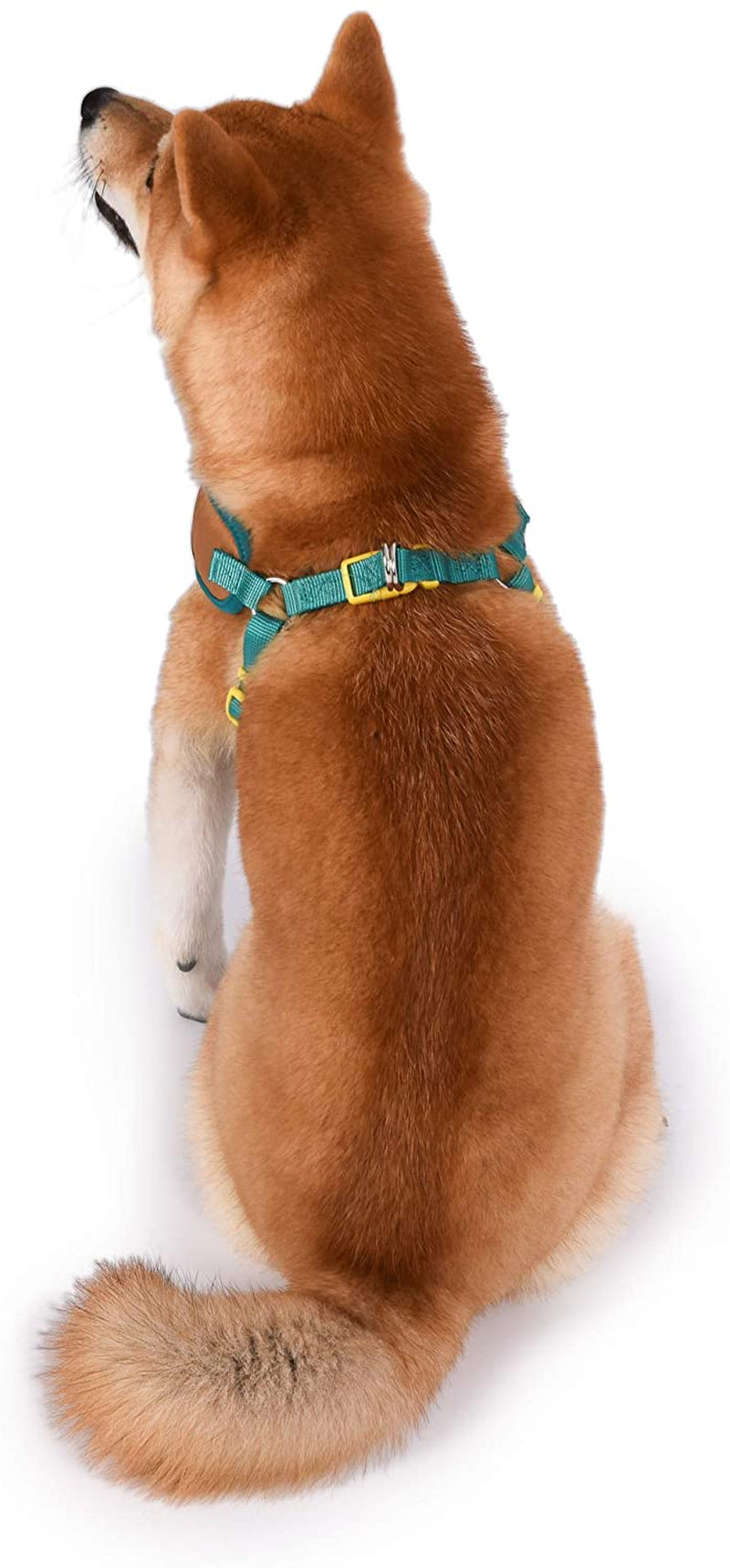 Warner Brothers Scooby-Doo Dog Harness | Soft and Comfortable Small Dog Harness | Scooby Doo Dog Harness No Pull Tan and Blue Dog Harness | Cute Dog Harnesses for Small Dogs